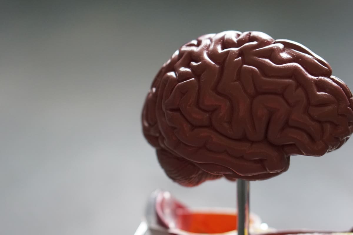 Can You Train Your Brain to Feel Happy?