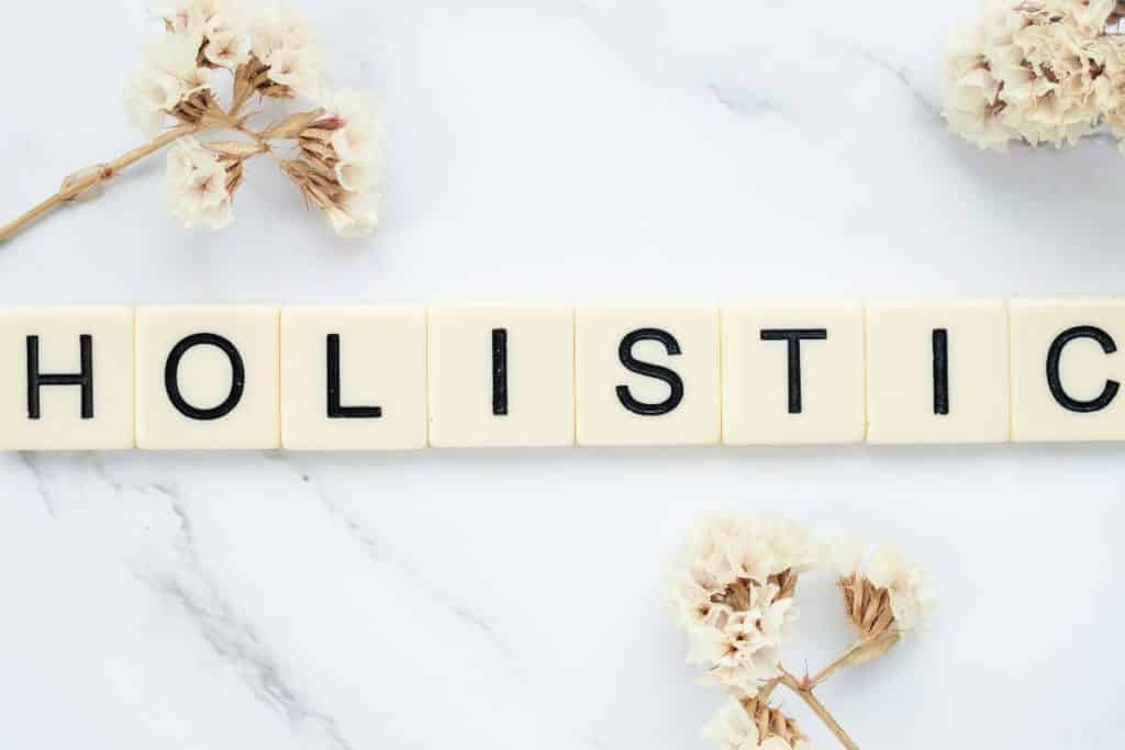 Why Is a Holistic Approach to the Mind-Body Connection Effective in Relapse Prevention?