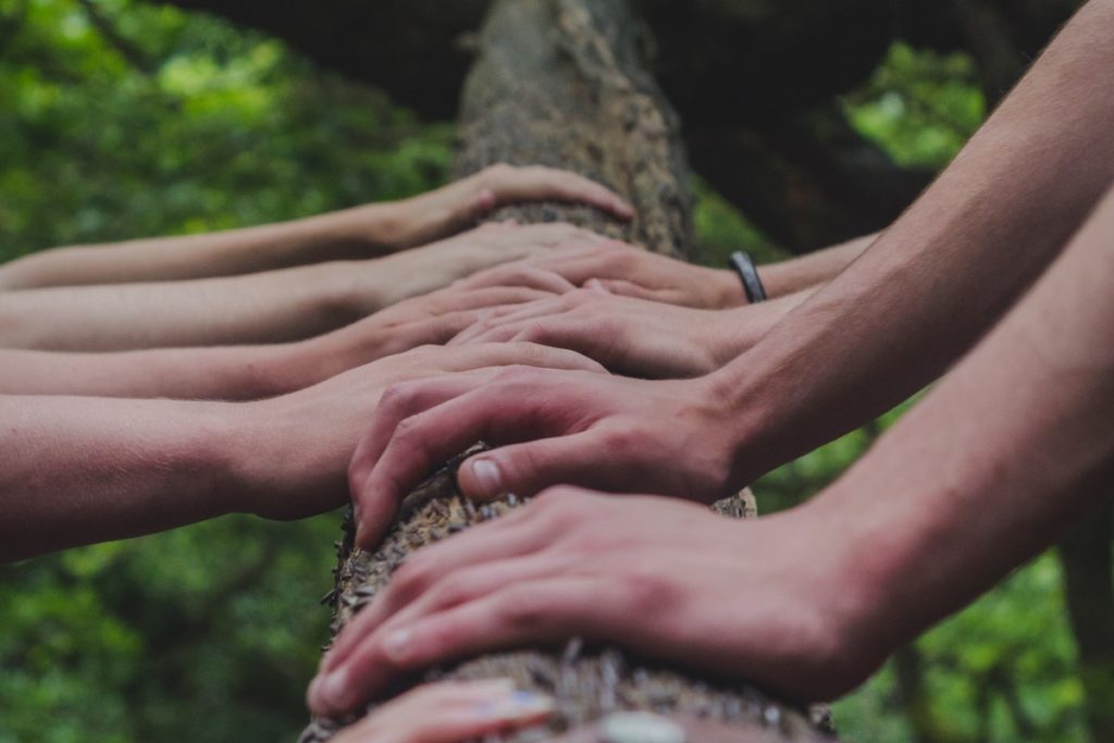 Why Do You Need Support Groups During Recovery?