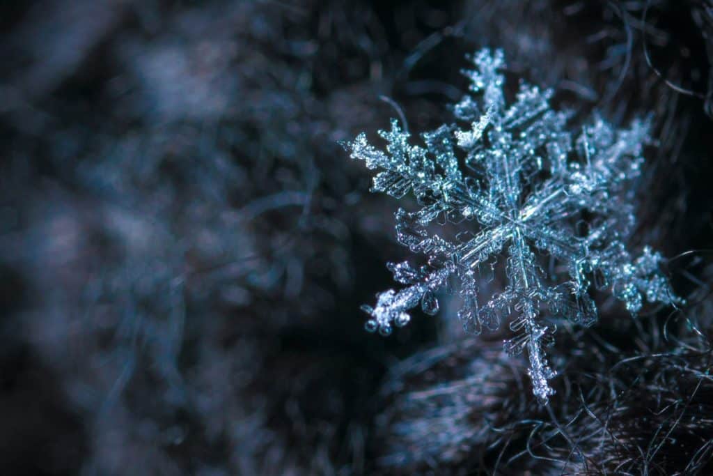 Surviving Winter Blues During Recovery