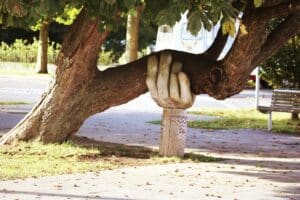 Why Accountability Matters In Recovery